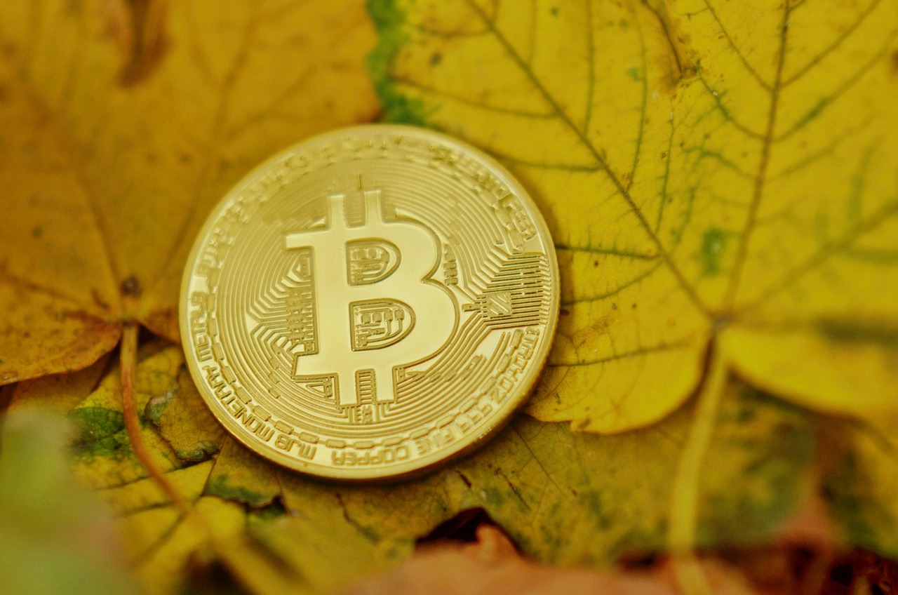 黄金再飙新高！数据：比特币通常在100~150天内跟进拉涨